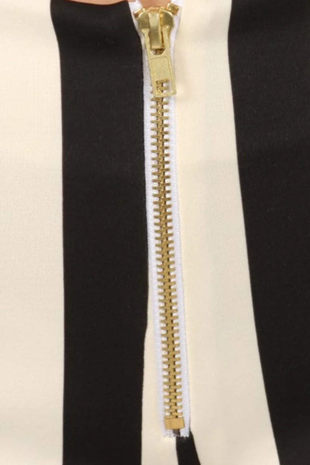 Striped high waist shorts with zipper front. Scuba print- Prima Dons and Donnas