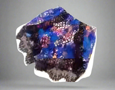 Lexus Shorts- Prima Dons and Donnas