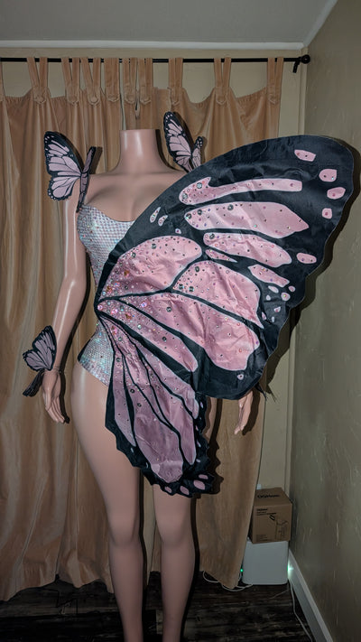 Butterfly Costume