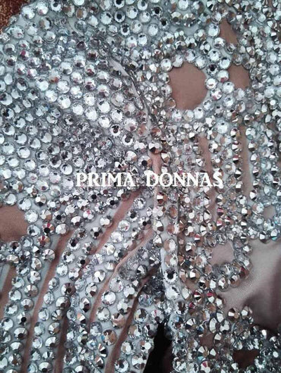 Crystal Custom jumpsuit catsuit - Prima Dons & Donnas